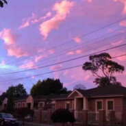 穿上苏菲大显神威