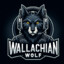 Wallachian Wolf