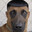 John Doppler