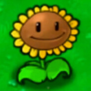 很一般的向日葵