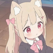 小猫你可以吃芝士汉堡