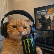 STYZDED