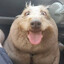 AmunRa's avatar