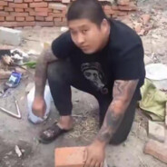 给尼玛安排一下？