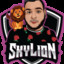 SkyLionGaming