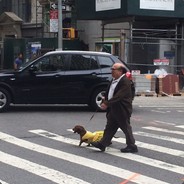 Danny DeVito Walking His Dog