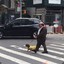 Danny DeVito Walking His Dog