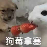 想把小电打进你的哨兵