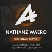 Avatar snapshot