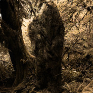 ОВОТ - Необнаруже