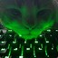 Cat on the keyboard