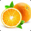 [TSG] Orange