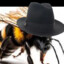 20,000 bees in a trench coat