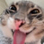 :p