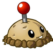 小包包是我妈妈