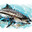 Cobia