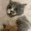 贝壳