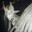 4dorned.angel