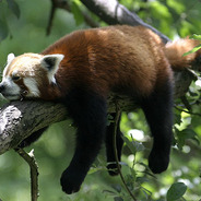 10jahrescoinfürnichts