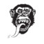Sivermonkey