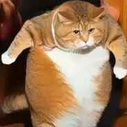 她的青春里没有我