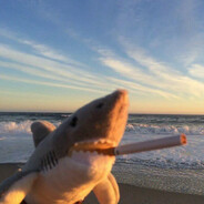็