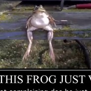 frog