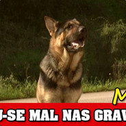 Soares
