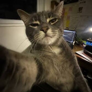 Scremi-