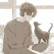 别急，我舔个包