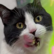 艾欧泽亚出逃光之妈宝