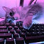 alecs_05
