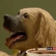 Я люблю Алёну