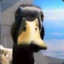 leDuck