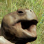 Labubu