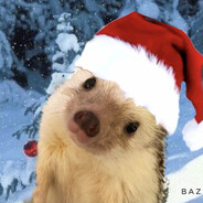 новый год 🌹