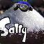 Salty McSaltberger