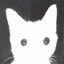 livia. ݁₊ ⊹