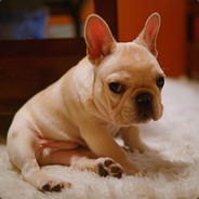 发现瘤子立马开摆