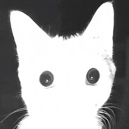 dewo Steam avatar
