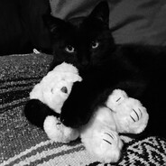 KAFKA | EasySkins com