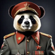 Debron Bear
