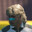 Dirk Chaddlington