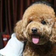 я есть пуджж