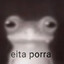sapo