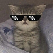 Ml0dyPolak_