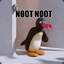 NOOT NOOT