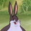 BRUTALOIS