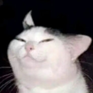 吸污染氧的尼斯贝特