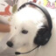 木木